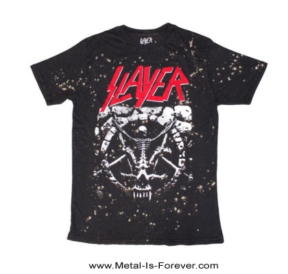 SLAYER (쥤䡼) Divine Intervention ֥ǥ󡦥󥿡󥷥ץץå ʤT
