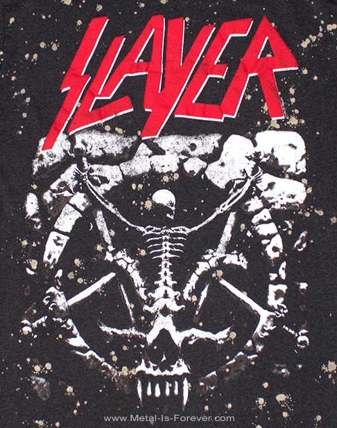 SLAYER (쥤䡼) Divine Intervention ֥ǥ󡦥󥿡󥷥ץץå ʤT