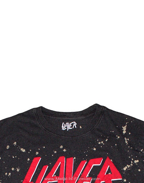 SLAYER (쥤䡼) Divine Intervention ֥ǥ󡦥󥿡󥷥ץץå ʤT