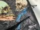 �ں߸ˤ����METALLICA (�᥿�ꥫ) SAD BUT TRUE �֥��åɡ��Хåȡ��ȥ��롼�� ���å����å�