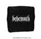 BEHEMOTH (٥ҡ⥹) Logo ֥ ꥹȥХ