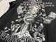 �ں߸ˤ����DEMONS & WIZARDS (�ǥ������ & ����������) MIDAS DISEASE �֥ߥ������ǥ��������� �ԥ����  S�������ڥ��쥯�����������ƥ��