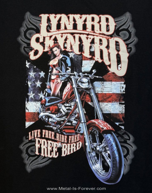 LYNYRD SKYNYRD (�졼�ʡ��ɡ������ʡ���) Ride Free �֥饤�ɡ��ե꡼�� �����ܥ� T�����