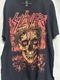 �ں߸ˤ����SLAYER (���쥤�䡼) Crowned Skull �֥��饦�󡦥������ �ԥ���� L������