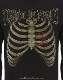 CRADLE OF FILTH (���쥤�ɥ롦���֡��ե��륹) Skeleton �֥�����ȥ�� Ĺµ�ԥ����