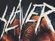 �ں߸ˤ����SLAYER (���쥤�䡼) OFFERING �֥��ե������󥰡� �ԥ���� L������
