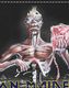 IRON MAIDEN (�������󡦥ᥤ�ǥ�) Seventh Son of a Seventh Son ���輷��ͽ���� ����