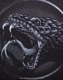 METALLICA (᥿ꥫ) Black Album Poster ֥֥åХݥ åڥ