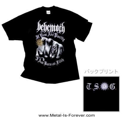 BEHEMOTH (٥ҡ⥹) The Shit Ov God Purity Fist ֥åȡåɡԥ奢ƥեȡףԥ