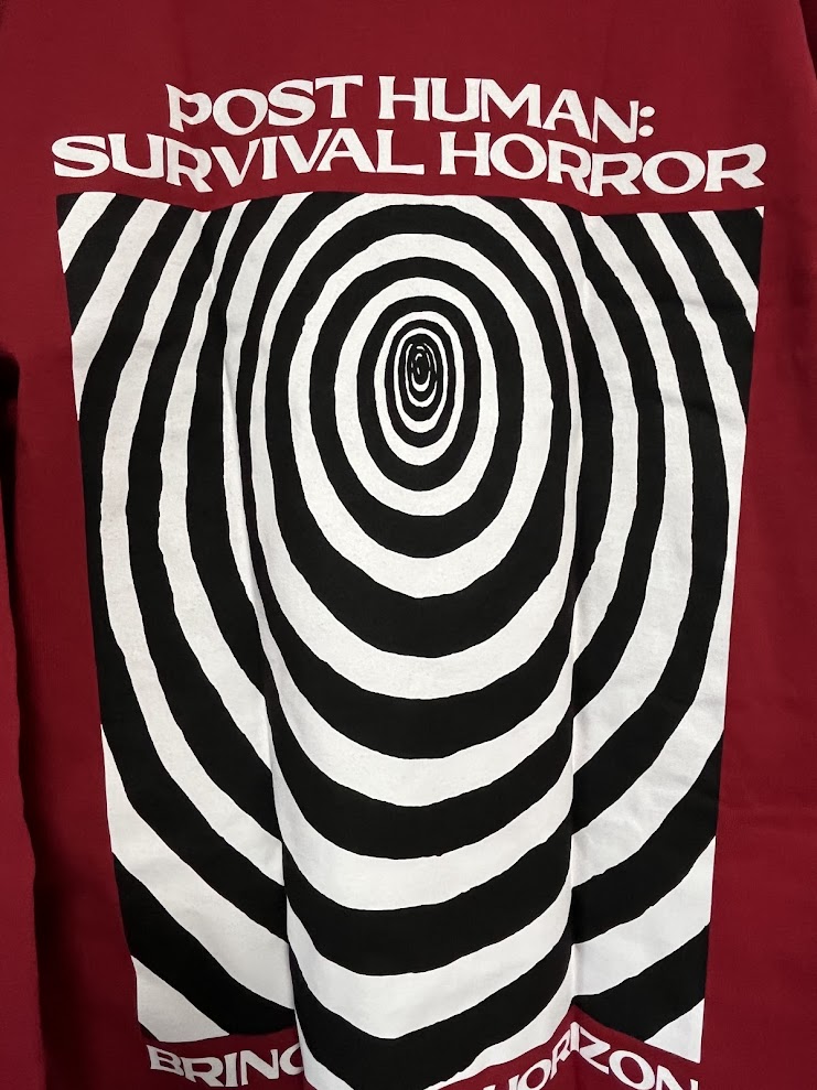 �ں߸ˤ����BRING ME THE HORIZON (�֥�󥰡��ߡ��������ۥ饤����) PARANOID �֥ѥ�Υ��ɡ� ĹµT����ġ��֡� M������