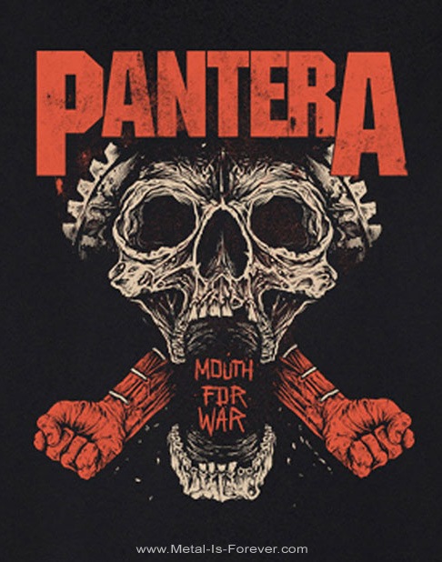PANTERA -�ѥ�ƥ�- MOUTH FOR WAR �֥ޥ������ե������������� ĹµT�����