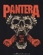 PANTERA -�ѥ�ƥ�- MOUTH FOR WAR �֥ޥ������ե������������� ĹµT�����