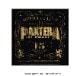 PANTERA (�ѥ�ƥ�) Official Live: 101 Proof �֥饤�������á� �ޥ��ͥå�