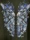 �ں߸ˤ����BRING ME THE HORIZON (�֥�󥰡��ߡ��������ۥ饤����) Blue Crow Wings �֥֥롼���������������󥰥��� ���åס��ѡ����� M������