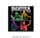 PANTERA (�ѥ�ƥ�) Band Photo �֥Х�Ɏ��ե��ȡ� �ޥ��ͥå�