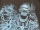 �ں߸ˤ����AVENGED SEVENFOLD (�������󥸥ɡ�������ե������) CHAINED SKELETON �֥�������ɡ�������ȥ�� Ĺµ�ԥ���� L�������ڥ��쥯�����������ƥ��
