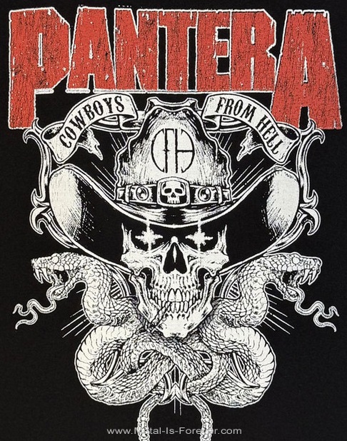 PANTERA (�ѥ�ƥ�) Snake Skull �֥��͡������������ T�����