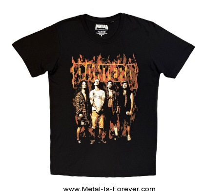 PANTERA (�ѥ�ƥ�) Flames �֥ե쥤�ॹ�� T�����
