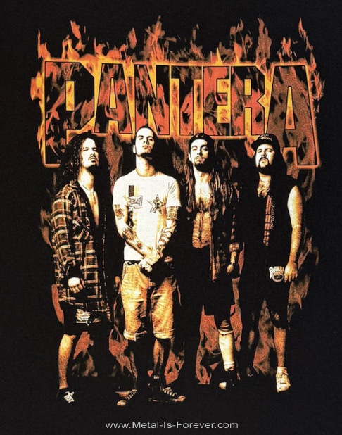 PANTERA (�ѥ�ƥ�) Flames �֥ե쥤�ॹ�� T�����
