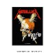 METALLICA (᥿ꥫ) Damage, Inc. ֥᡼󥯡 åڥ