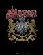 SAXON -- 40 YEARS 40ǯ T