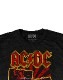 AC/DC (ǥ) BACK IN BLACK TOUR 1980 ֥Хå󡦥֥å1980ǯĥ ԥ
