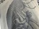 �ں߸ˤ����AMORPHIS (�����ե���) TOMI JOUTSEN �֥ȥߡ��衼�ĥ���� T����� �ʥ��졼��  M������