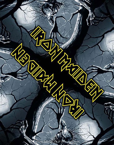 IRON MAIDEN (󡦥ᥤǥ) FEAR OF THE DARK ֥ե֡ Х