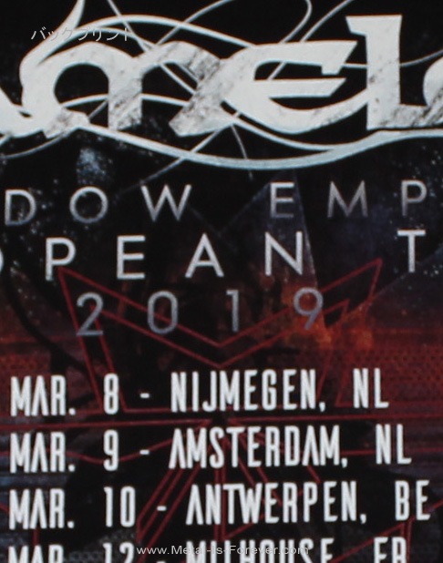 KAMELOT (�������å�) The Shadow Theory �֥�������ɥ��������꡼��2019ǯ�衼���åѡ��ĥ���  T�����