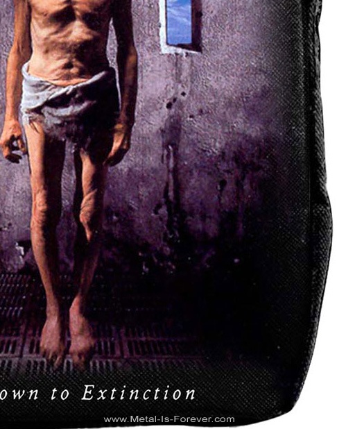 MEGADETH (ᥬǥ) Countdown To Extinction ǤؤΥȥ ܥǥХå