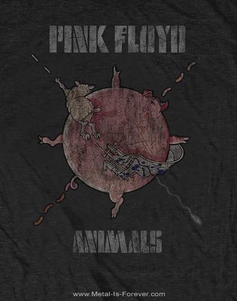 PINK FLOYD (�ԥ󥯡��ե�����) Sheep Chase �֥����׎����������� �ԥ����