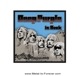 DEEP PURPLE (�ǥ����ס��ѡ��ץ�) In Rock �֥��󡦥��å��� ��åڥ�