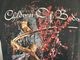 �ں߸ˤ����CHILDREN OF BODOM (����ɥ�󡦥��֡��ܥɥ�) BLOODDRUNK �֥֥�åɥɥ�󥯡� �ԥ���� M�������ڥ��쥯�����������ƥ��