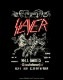 SLAYER -쥤䡼- HELL AWAITS ֥إ롦ġ ե饤䡼 ԥ