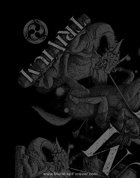 TRIVIUM (�ȥ��������) In The Court Of The Dragon �֥��󡦥��������ȡ����֡������ɥ饴��� �Х����