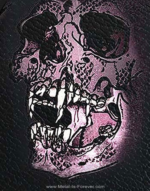 METALLICA (᥿ꥫ) Pushhead ֥ѥإåɡ ܥǥХå