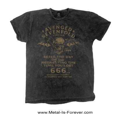 AVENGED SEVENFOLD (�������󥸥ɡ�������ե������) Seize The Day �֥������������ǥ��� �ʤ�����T�����