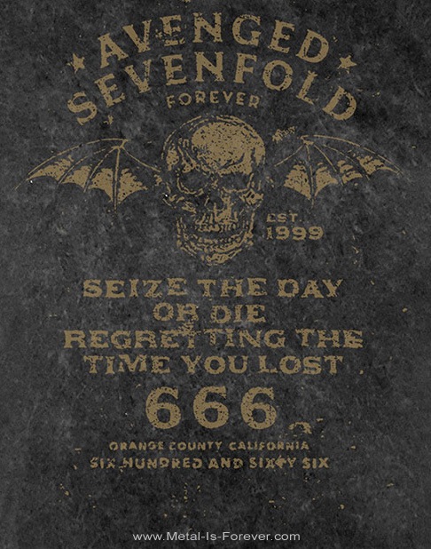 AVENGED SEVENFOLD (�������󥸥ɡ�������ե������) Seize The Day �֥������������ǥ��� �ʤ�����T�����