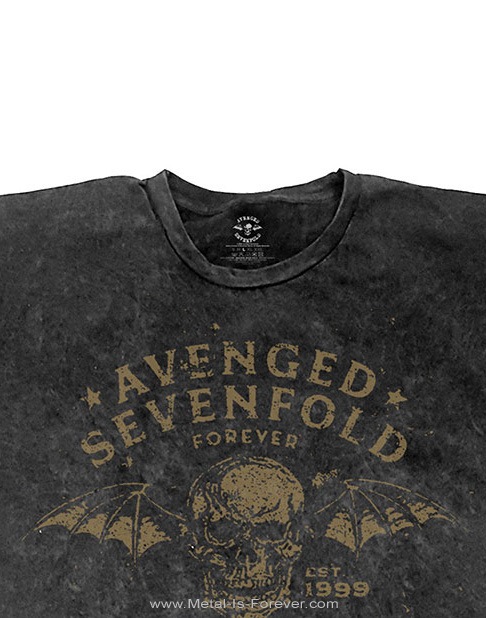 AVENGED SEVENFOLD (�������󥸥ɡ�������ե������) Seize The Day �֥������������ǥ��� �ʤ�����T�����