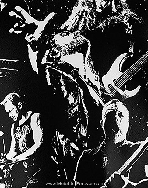 DARK TRANQUILLITY (���������ȥ�󥭥��ƥ���) Unforgivable �֥���ե������Х֥�� ĹµT�����