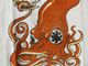 �ں߸ˤ����RED HOT CHILI PEPPERS (��åɡ��ۥåȡ����ꡦ�ڥåѡ���) SQUID �֥������åɡ� T����ġ���� M������
