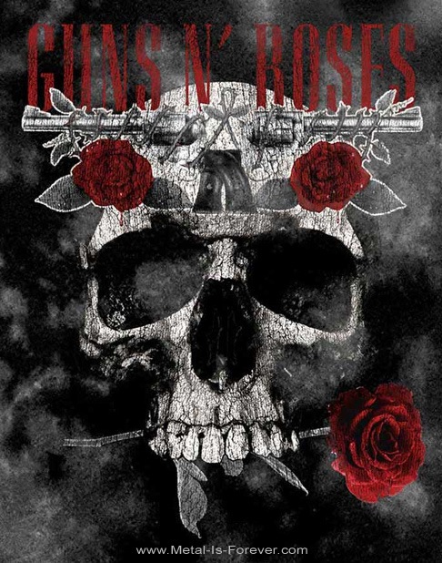 GUNS N' ROSES (���󥺡�����ɡ���������) Flower Skull �֥ե���������� �����å��� ���å� �ԥ����