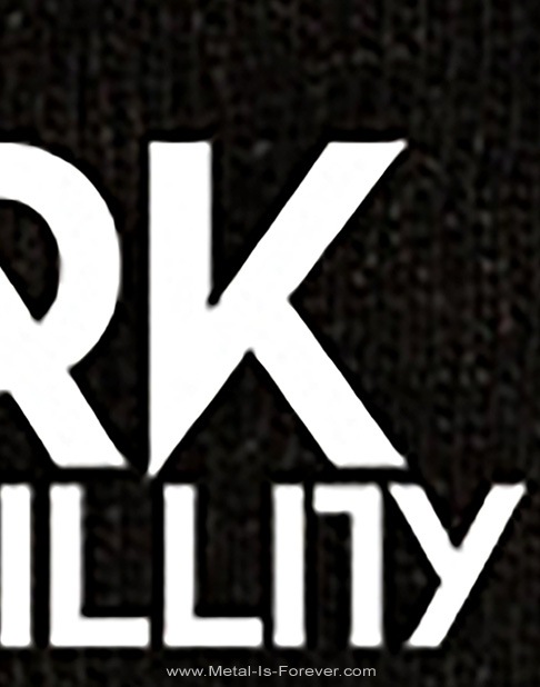 DARK TRANQUILLITY (���������ȥ�󥭥��ƥ���) Logo �֥����� �˥åȥ���å�