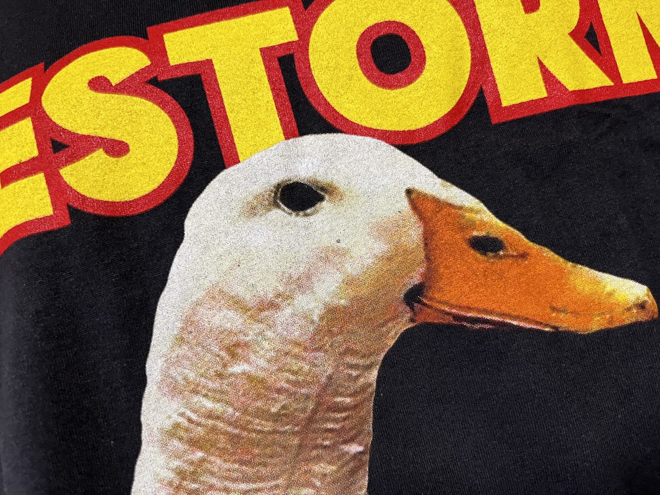 �ں߸�ͭ���ALESTORM (�����륹�ȡ���) Banana Duck �֥Хʥʡ����å��� �ԥ���� M������