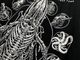 �ں߸ˤ����SLEEP TOKEN (���꡼�ס��ȡ�����) Tomb Whale �֥ȥ����ࡦ�ۥ������ T����� XL������