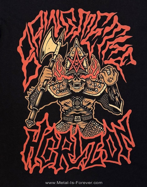 BRING ME THE HORIZON (�֥�󥰡��ߡ��������ۥ饤����) Warrior �֥������ꥢ���� T�����