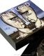 PINK FLOYD (ԥ󥯡ե) Division Bell Сץ᥿롦إå 3D ޥͥå