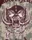MOTORHEAD (⡼إå) England ֥󥰥ɡץޥ顼  ܥǥХå