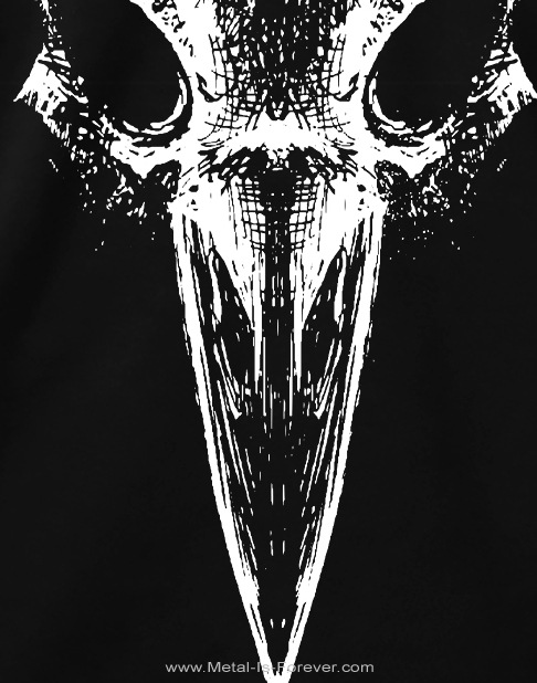 LACUNA COIL (�饯���ʡ�������) Oxygen�֥������������T�����