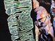 �ں߸ˤ����ALICE IN CHAINS (���ꥹ�����󡦥�������) Sickman �֥��å��ޥ�� �ԥ���� L������